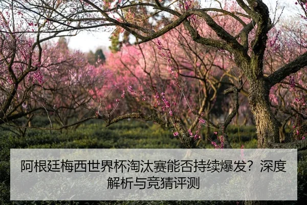 阿根廷梅西世界杯淘汰赛能否持续爆发？深度解析与竞猜评测